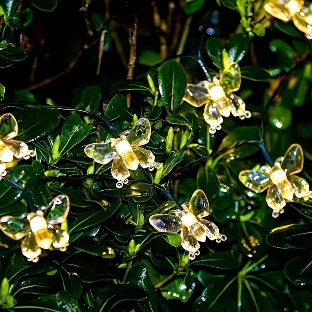 Crystal Butterfly Outdoor Fair - Outdoor Power For Wedding review and price
